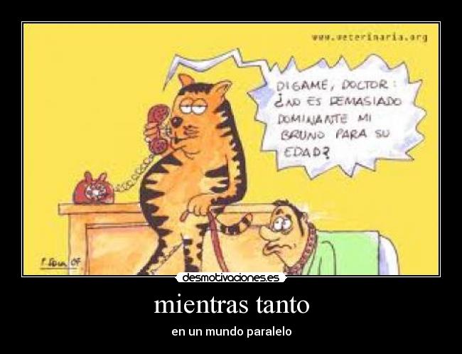 mientras tanto - en un mundo paralelo