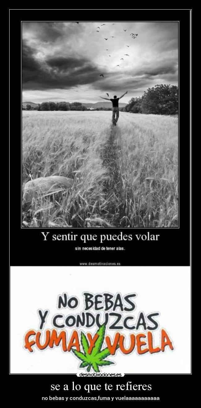 se a lo que te refieres - no bebas y conduzcas,fuma y vuelaaaaaaaaaaa