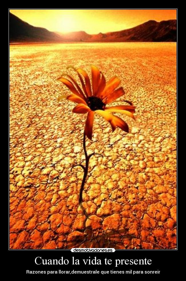 carteles vida lauayasoyioo desmotivaciones