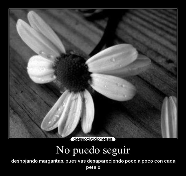 No puedo seguir - 