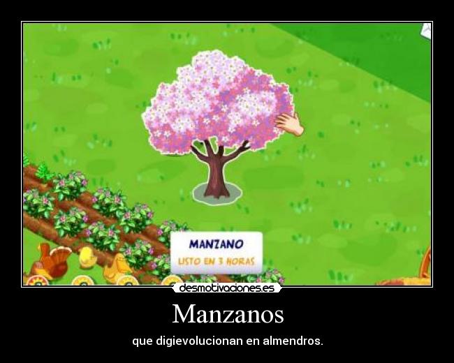 Manzanos -