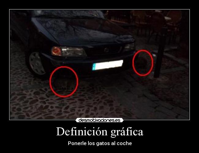 carteles gatosss desmotivaciones