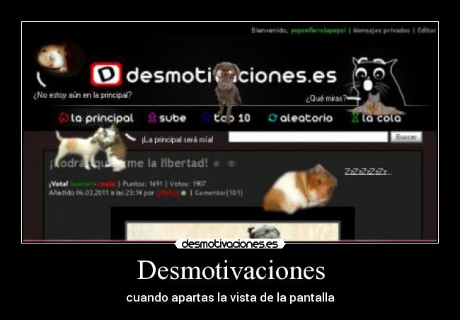 carteles desmotivaciones desmotivaciones pantalla animales desmotivaciones