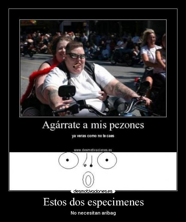 Estos dos especimenes - 