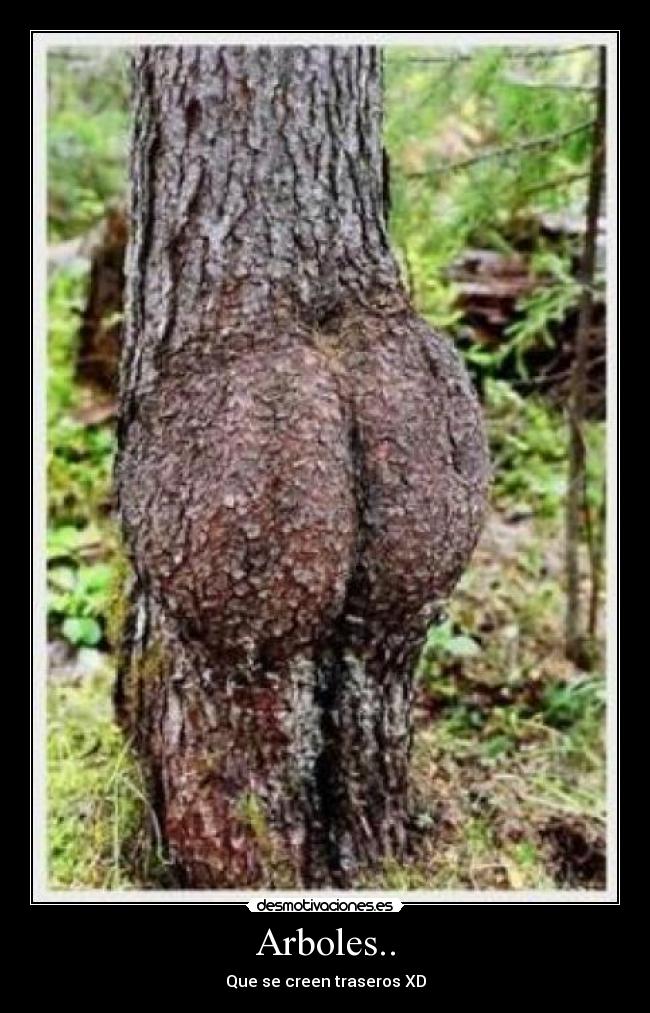 Arboles.. - Que se creen traseros XD