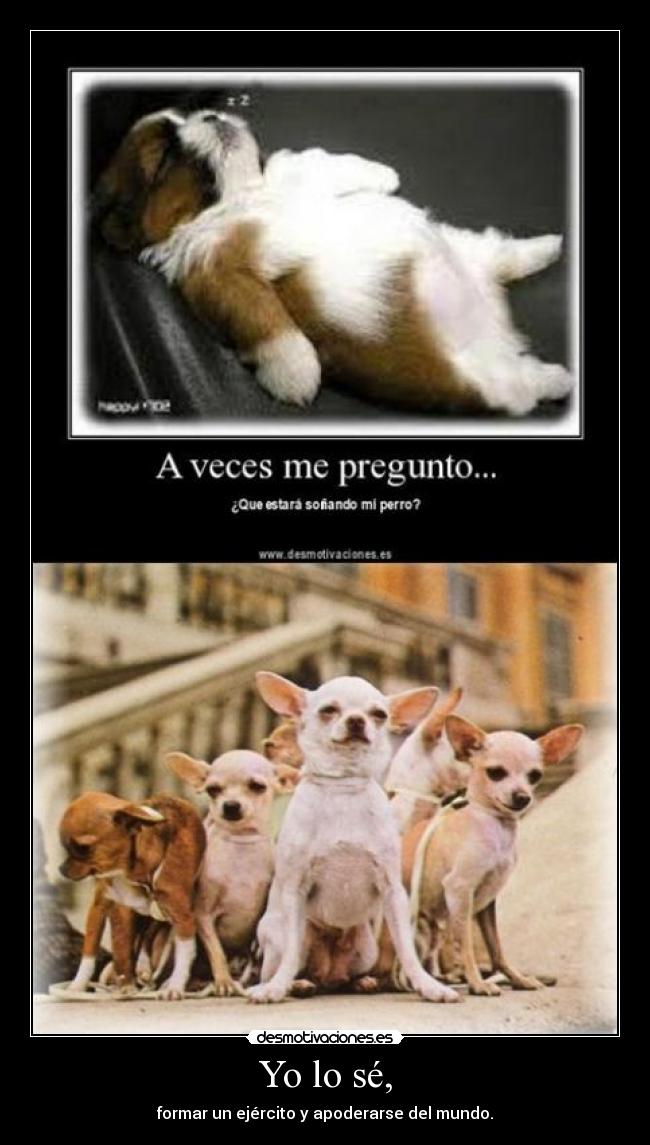 Yo lo sé, - formar un ejército y apoderarse del mundo.