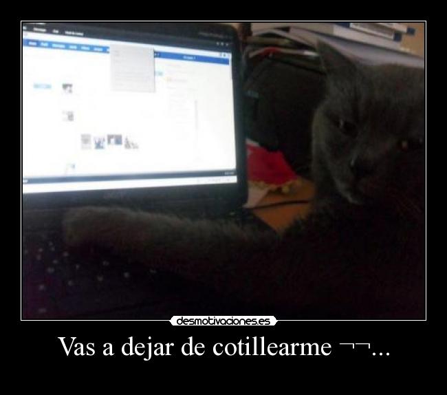 Vas a dejar de cotillearme ¬¬... - 