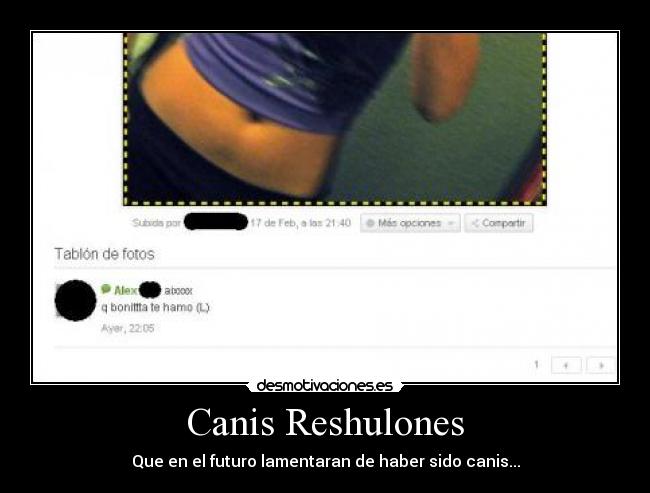 Canis Reshulones - Que en el futuro lamentaran de haber sido canis...