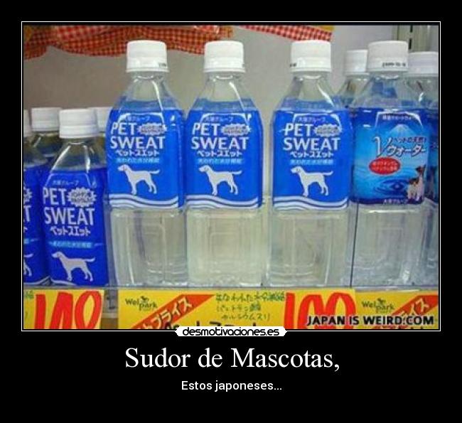 Sudor de Mascotas, -
