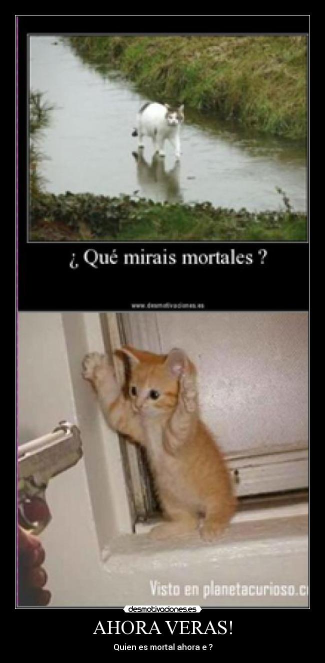 AHORA VERAS! - 