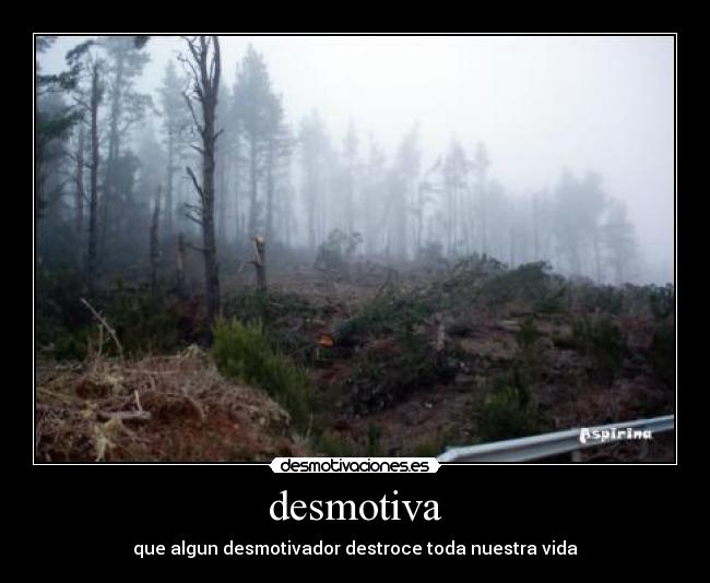 desmotiva - 