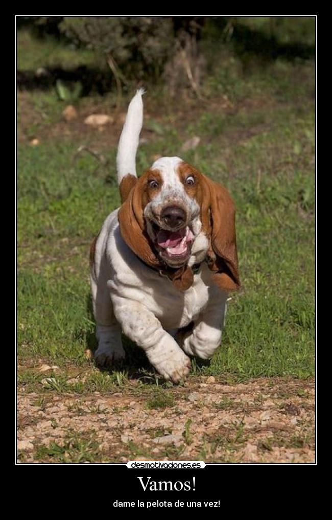 carteles pelora desmotivaciones