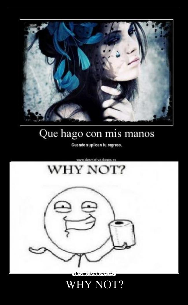 WHY NOT? -