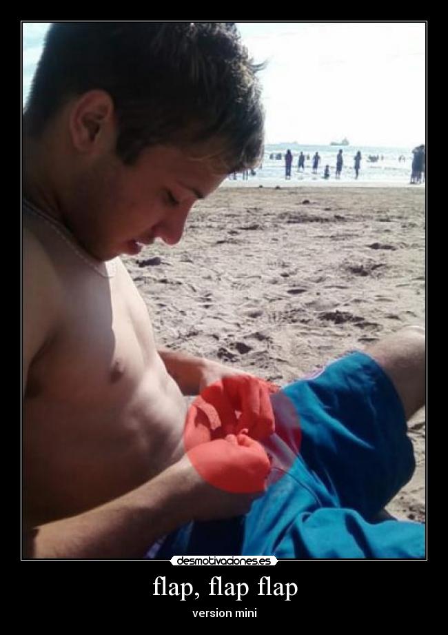 carteles flap version mini picha polla mina desmotivaciones