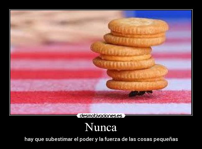 Nunca - 