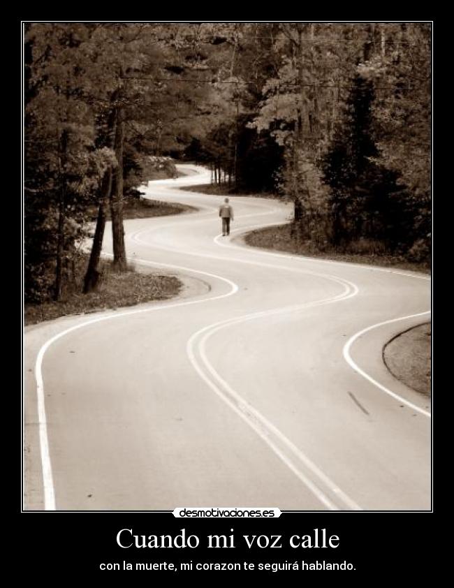 Cuando mi voz calle -