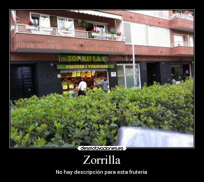 Zorrilla - No hay descripción para esta fruteria