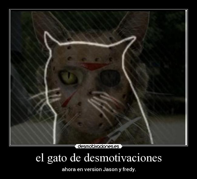 el gato de desmotivaciones - ahora en version Jason y fredy.