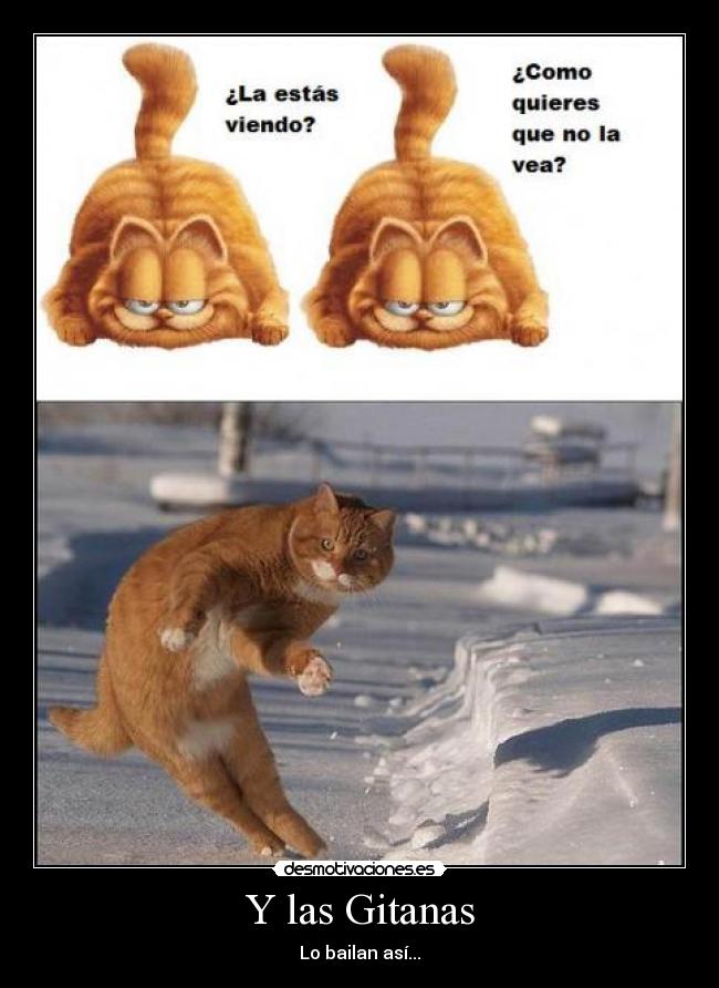 carteles gitanas desmotivaciones