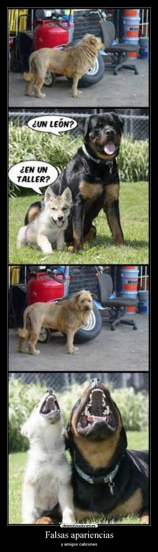 Falsas apariencias -