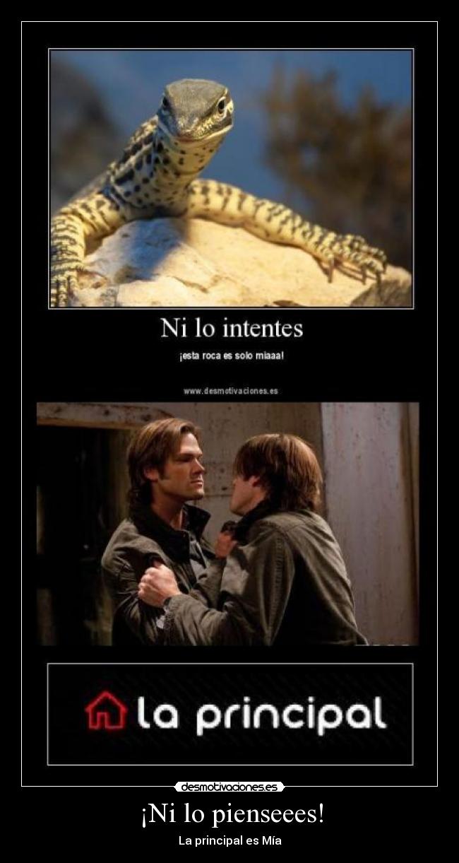 carteles principal desmotivaciones