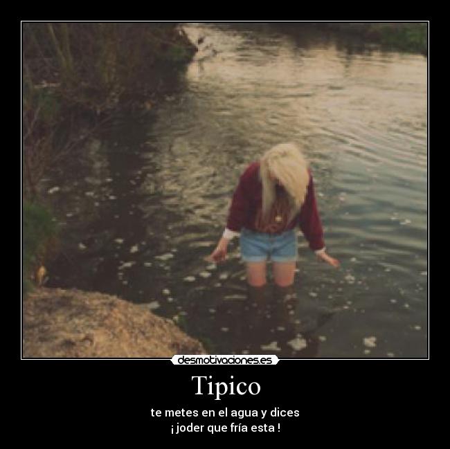 Tipico -