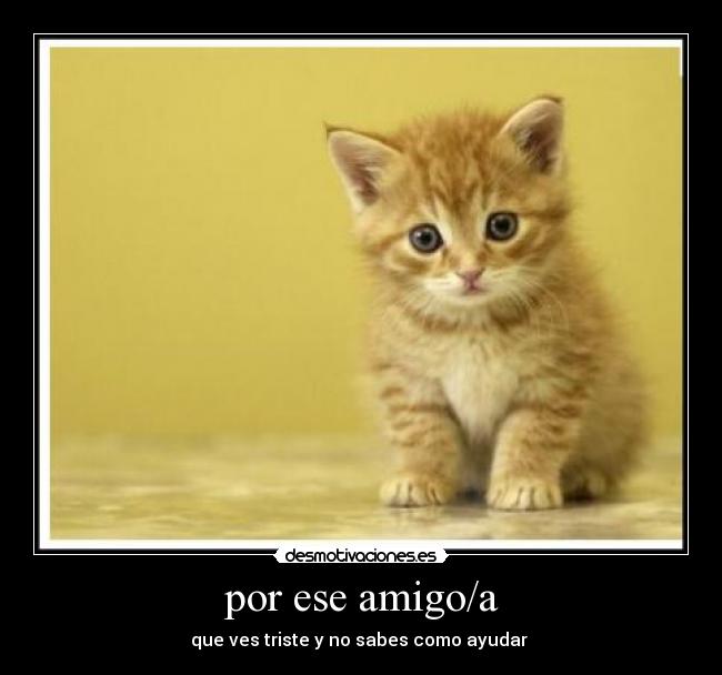 carteles amigos trste desmotivaciones