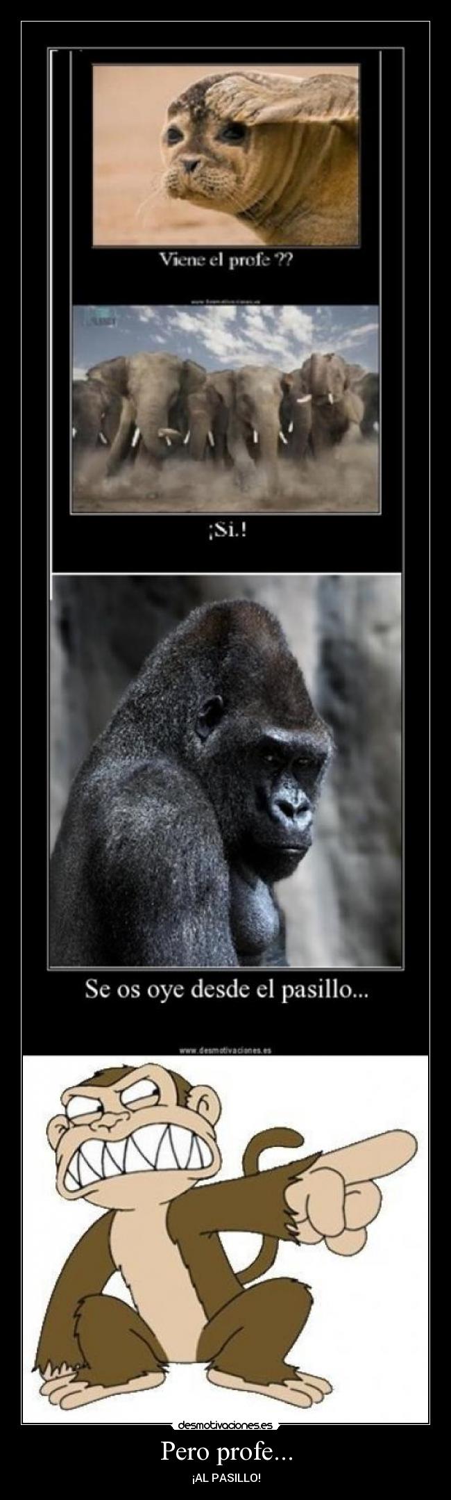Pero profe... - 