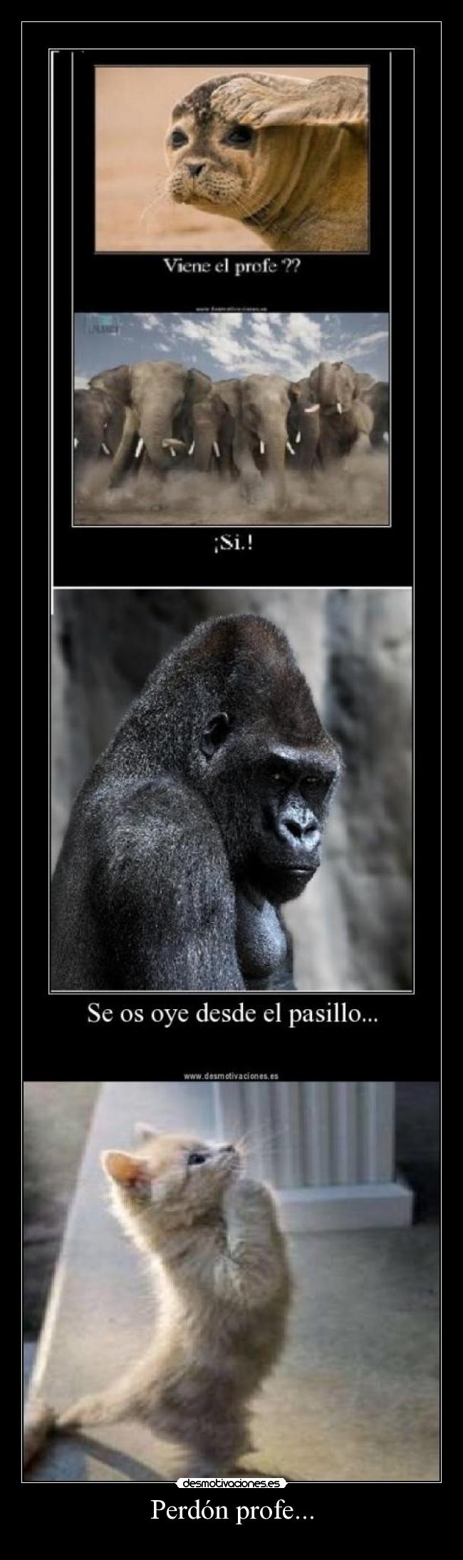 carteles carmenfuty desmotivaciones