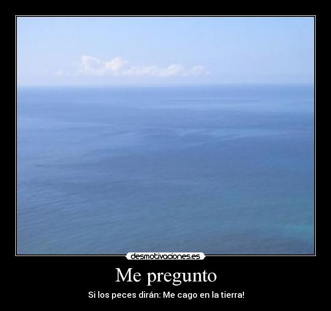Me pregunto - 