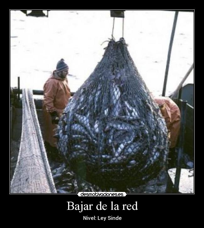 carteles red pescadores ley sinde desmotivaciones