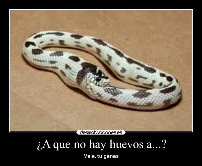 ¿A que no hay huevos a...? -
