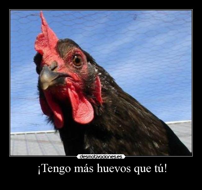¡Tengo más huevos que tú! - 
