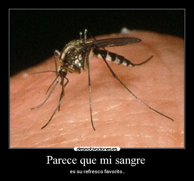 Parece que mi sangre -