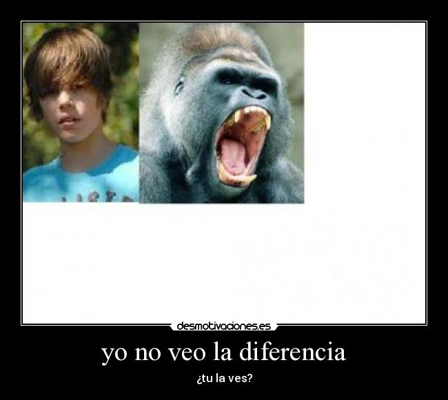 yo no veo la diferencia - 