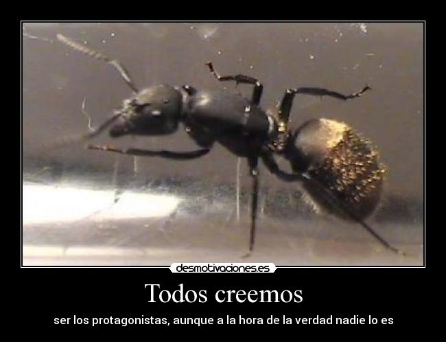 carteles protagonista desmotivaciones