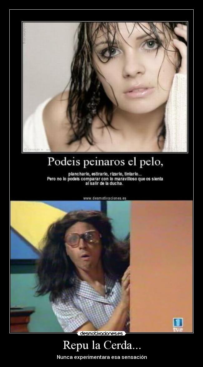 carteles repu cerda desmotivaciones