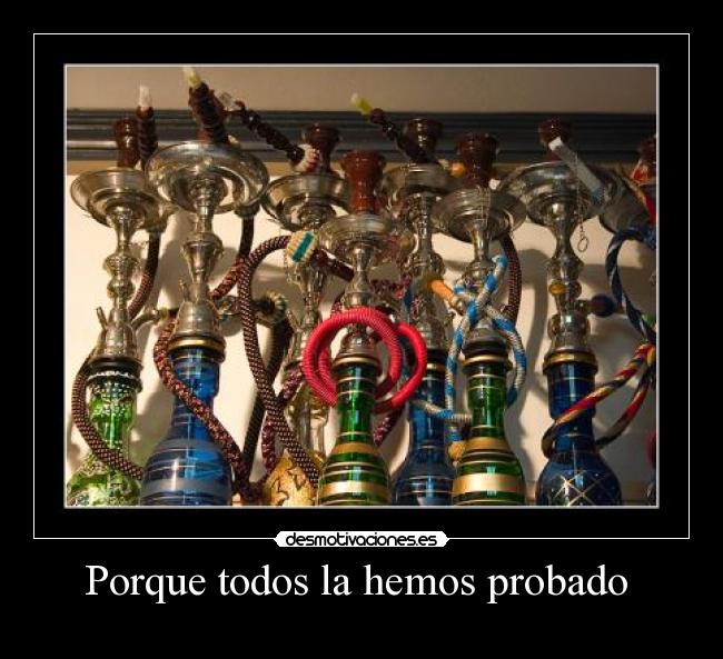 Porque todos la hemos probado -