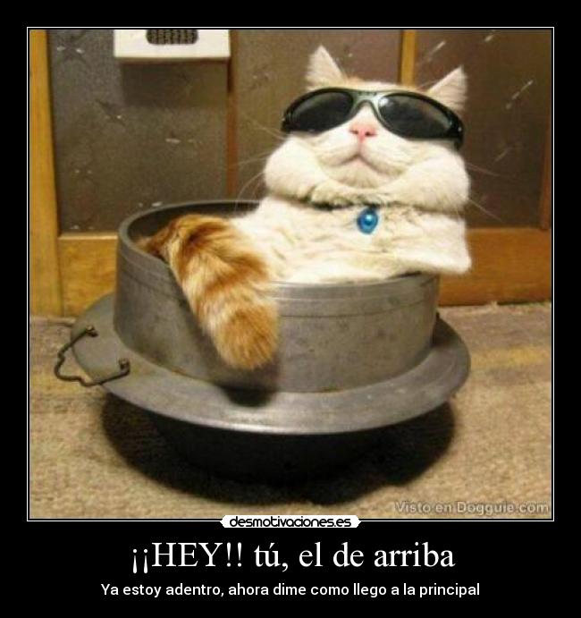 ¡¡HEY!! tú, el de arriba -