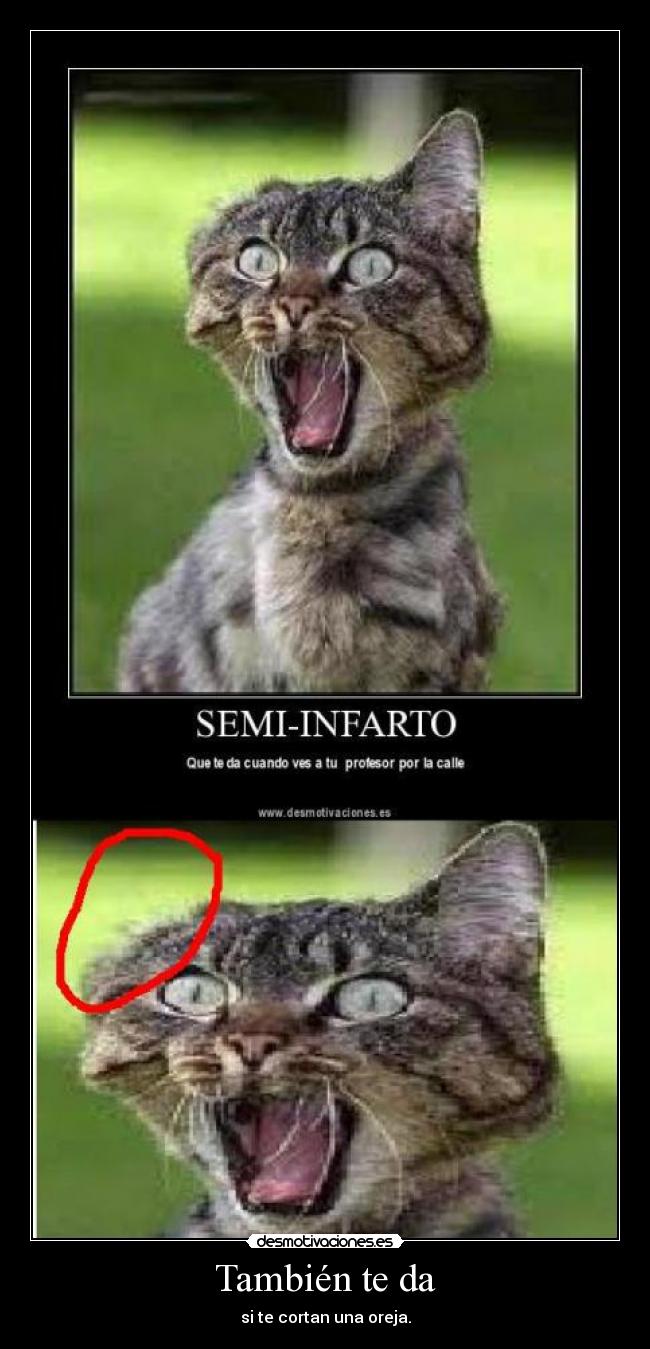 También te da - si te cortan una oreja.