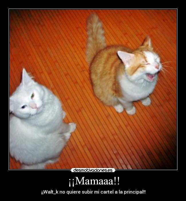 ¡¡Mamaaa!! -