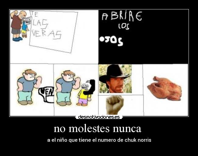 no molestes nunca  - a el niño que tiene el numero de chuk norris
