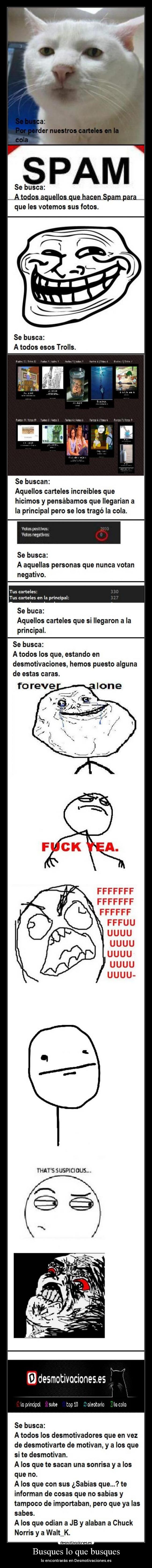 Busques lo que busques -