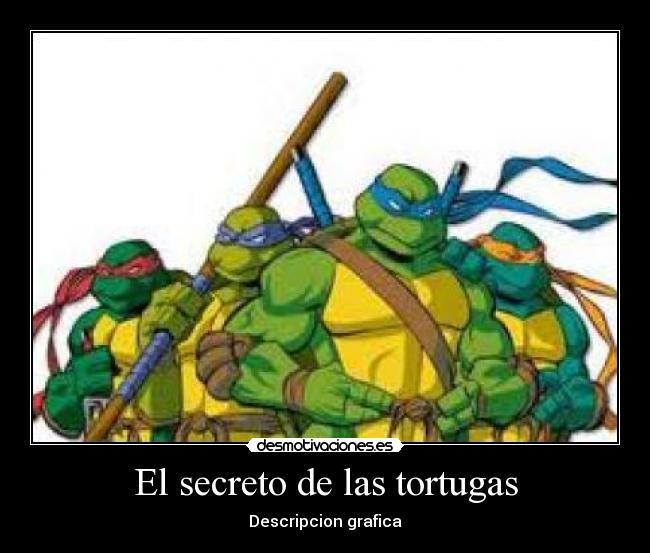 El secreto de las tortugas -