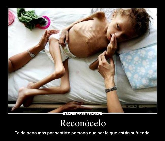 carteles elbigotedehitler desmotivaciones