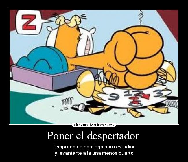 Poner el despertador  - 