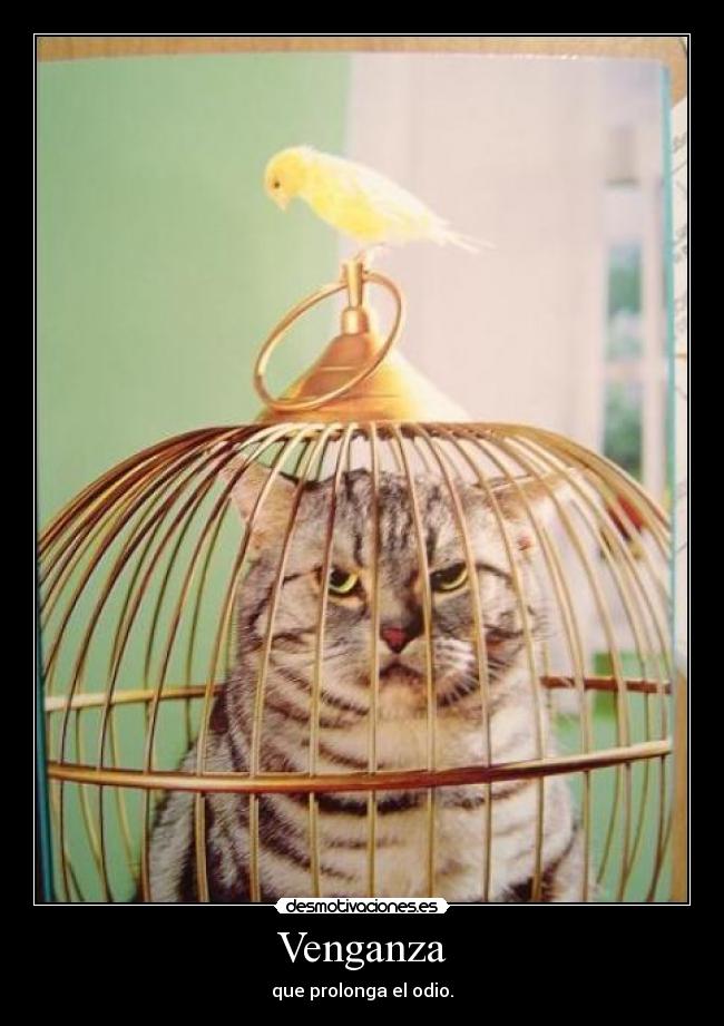 Venganza - que prolonga el odio.