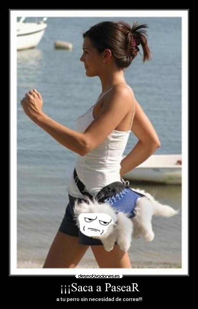 ¡¡¡Saca a PaseaR - 