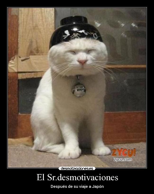 El Sr.desmotivaciones - 