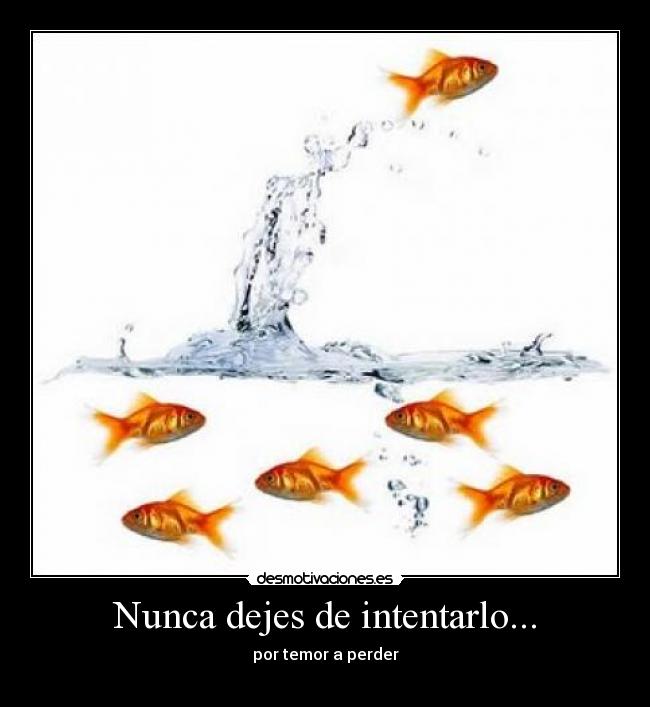 Nunca dejes de intentarlo... - 